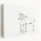 Fine Art Realism Sketch - Two Horses Standing Together Art Print Canvas
