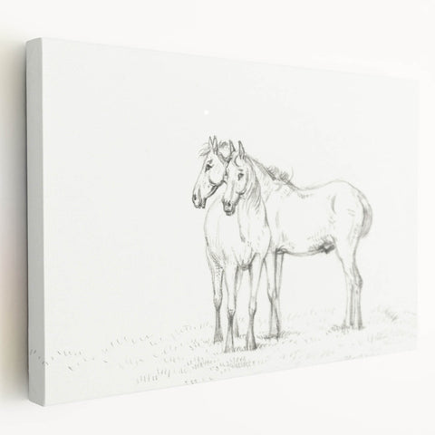 Fine Art Realism Sketch - Two Horses Standing Together Art Print Canvas