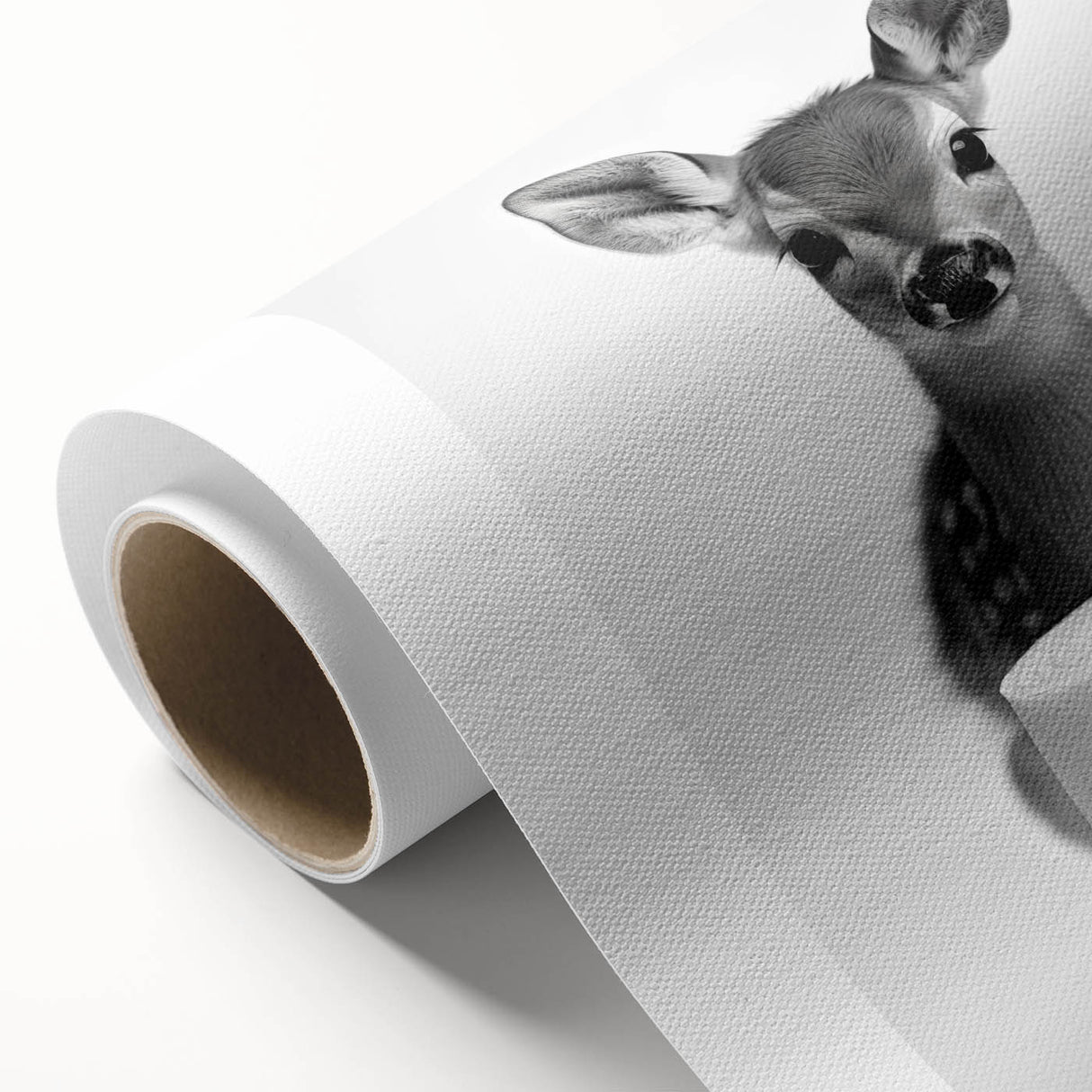 Adorable Fawn Bathroom Wall Art - Minimalist Black and White Decor