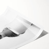 Adorable Fawn Bathroom Wall Art - Minimalist Black and White Decor