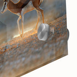 Large acrylic print of an abstract Namibian landscape in earthy tones.