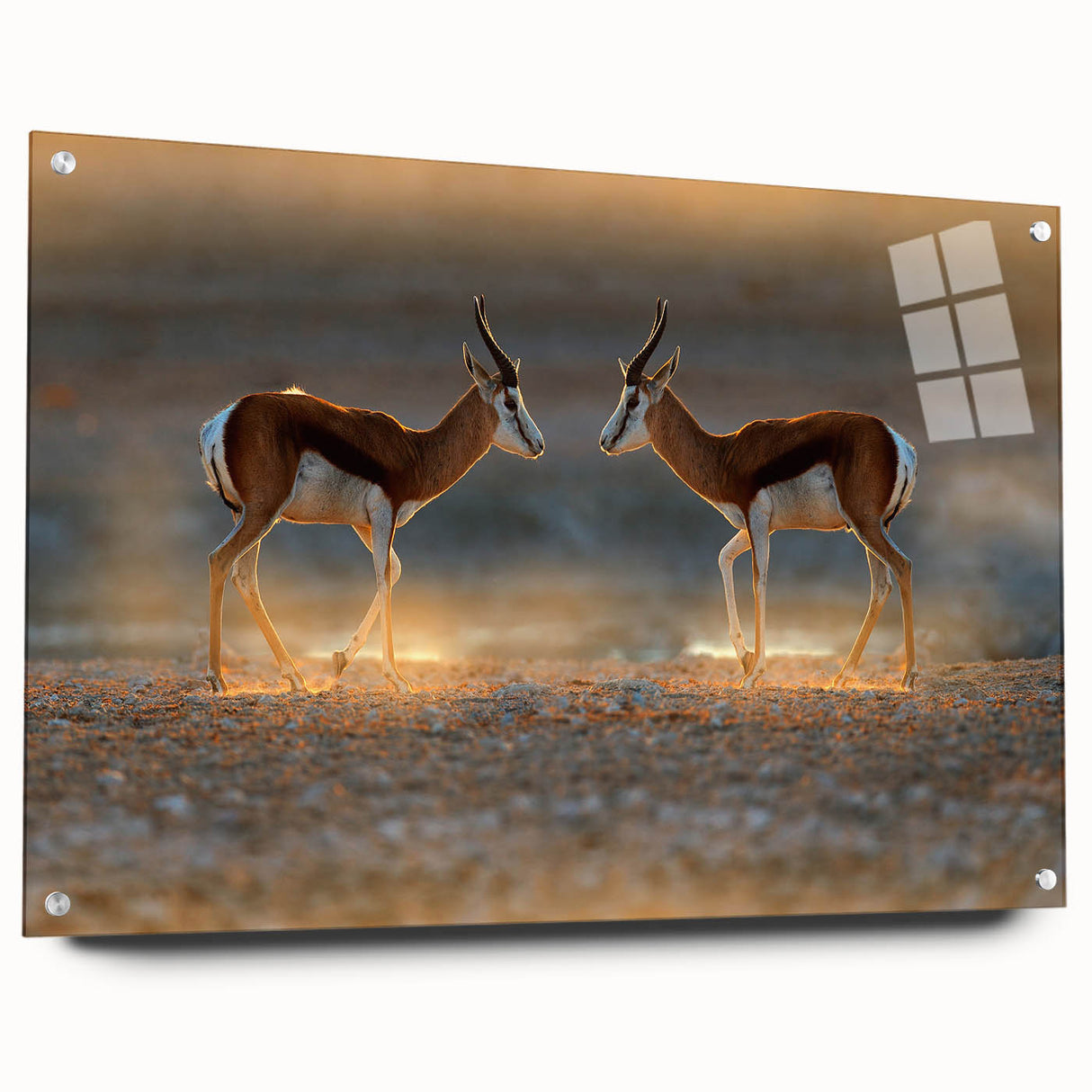 Acrylic print of a Namibian landscape featuring warm earth tones, ideal for dining room or bedroom decor.