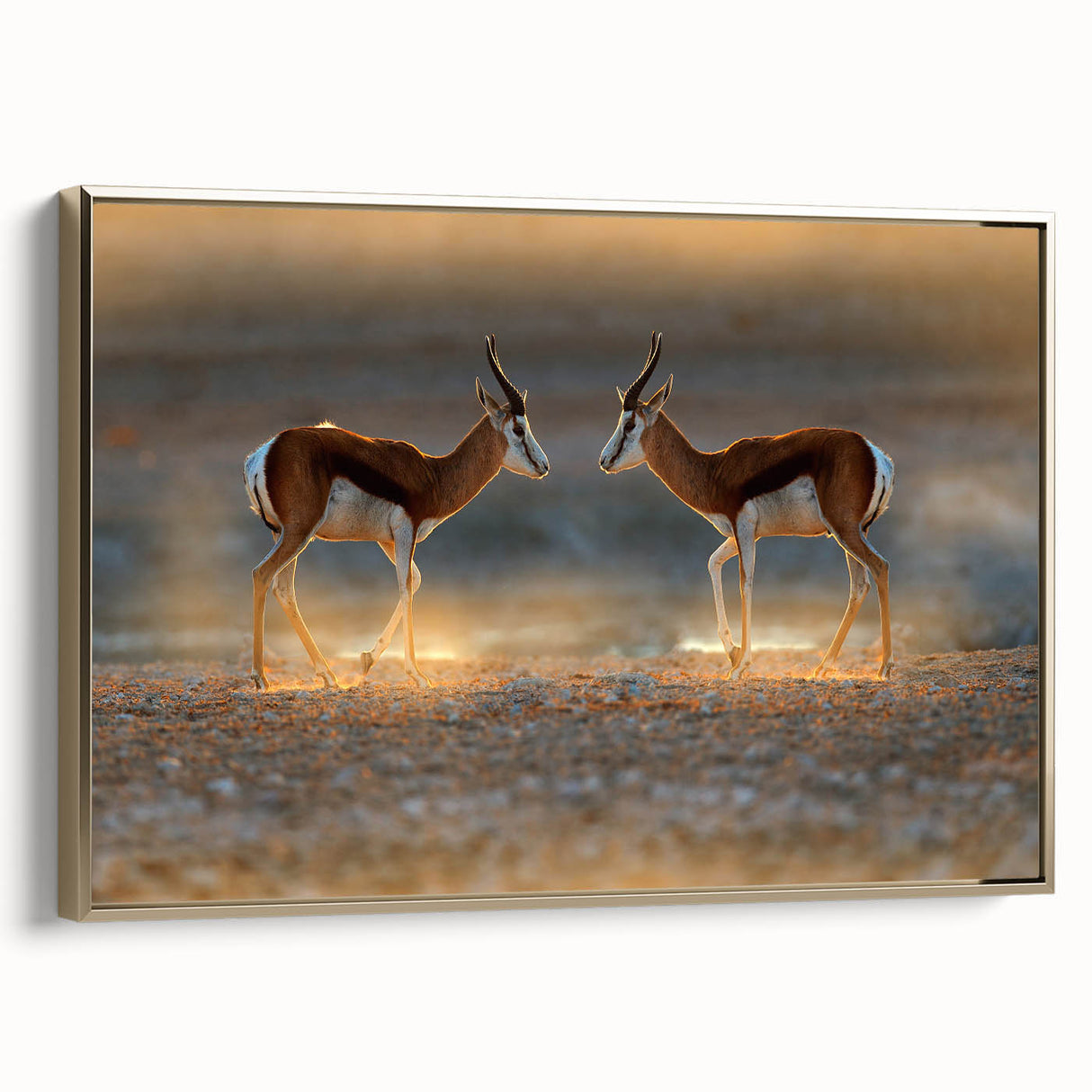 Framed canvas depicting a vintage-style landscape painting of the Namibian desert, with muted earth tones.