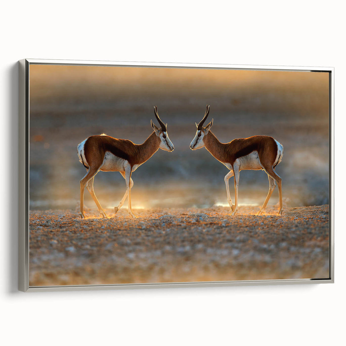 Vintage poster art of an African scenery in Namibia on a framed canvas, featuring a silver frame.