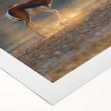 Art deco poster featuring a serene Namibian landscape on rolled canvas, suitable for dining room wall art.