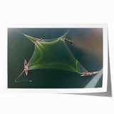 Extra large rolled canvas featuring a vibrant floral scene, ideal for art wall dining room or classy bathroom wall art.
