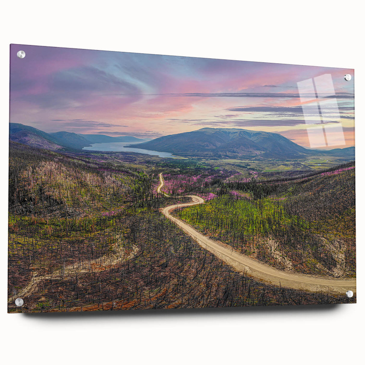 Acrylic print of a Yukon scenery in muted earth tones, ideal for dining room decor.