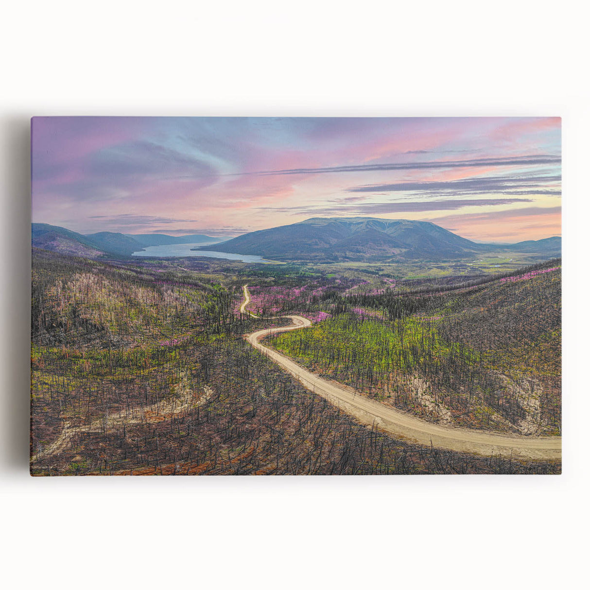 Black and white photograph of Yukon scenery on stretched canvas, suitable as large kitchen art.