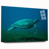 Large abstract wall art of a Caribbean scenery on acrylic glass, with vibrant blue and green tones.