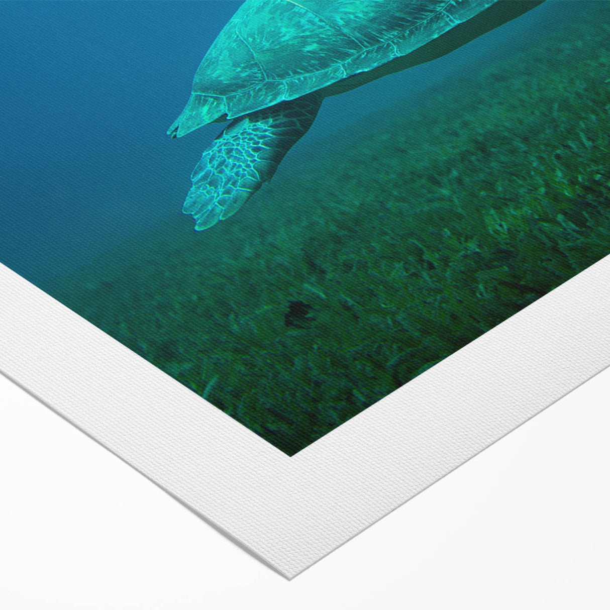 Art deco poster featuring a serene Caribbean Martinique landscape on rolled canvas, suitable for dining room decor.