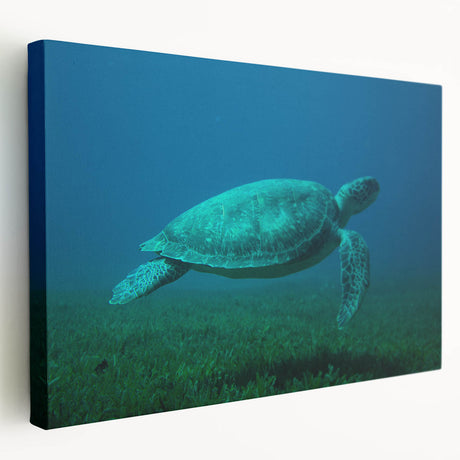 Large canvas print of a Caribbean seascape with vivid blue and green tones, ideal for kitchen wall art.