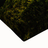 Large art of a black and white landscape painting featuring the Charles Bridge in Prague on stretched canvas.