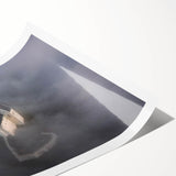 Extra large rolled print of line art flowers in neutral tones, ideal for large living room wall art.