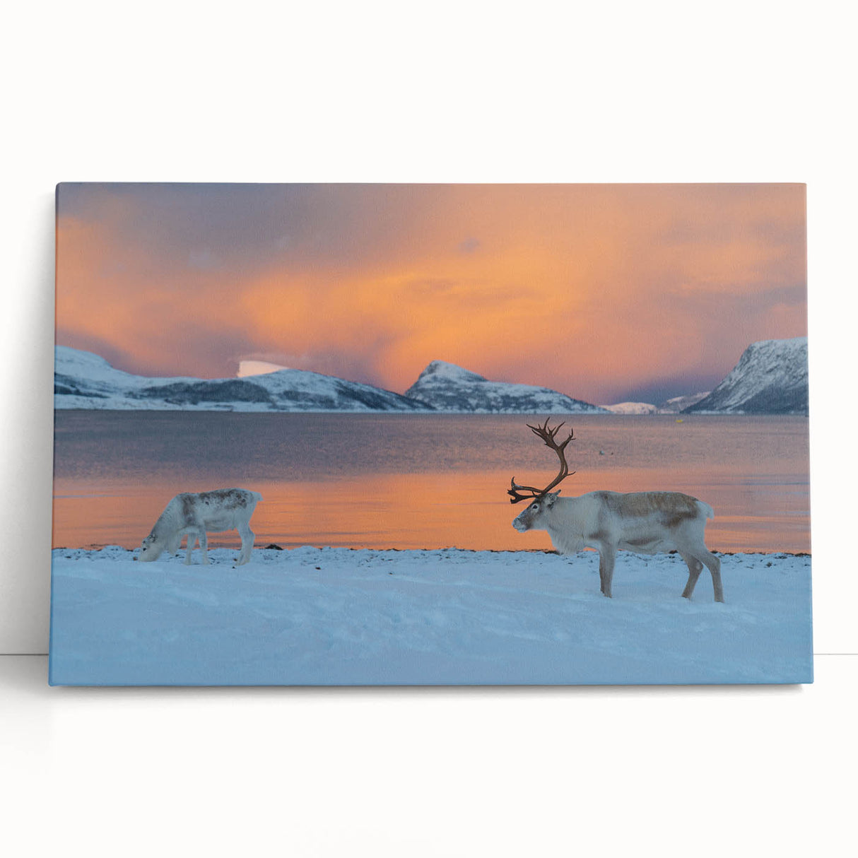 Black and white photograph of a Norwegian landscape on stretched canvas, ideal for kitchen wall art.