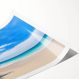 Extra large wall art featuring line art flowers in neutral tones on a rolled canvas, ideal for large living room decor.