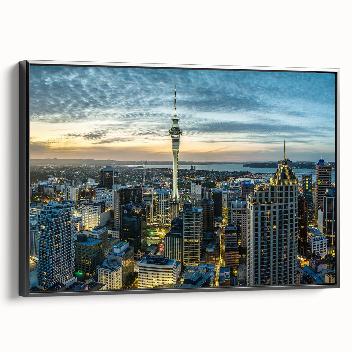 Black and white wall art of Auckland landscape on framed canvas, ideal for bedroom decor.