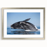 Textured abstract art print of an Argentine landscape in muted earth tones, framed in silver, ideal for bedroom art.