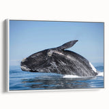 Vintage poster art of an Argentine landscape on a framed canvas, featuring vibrant colors, ideal for living room decor.