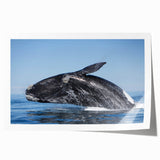 Extra large rolled print of an Argentine landscape, featuring vibrant green and blue tones.