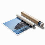 Extra large rolled print of a serene floral scene in soft pastel shades, ideal for classy bathroom wall art.