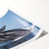 Extra large wall art depicting line art flowers in monochrome, ideal for large living room decor, rolled print format.