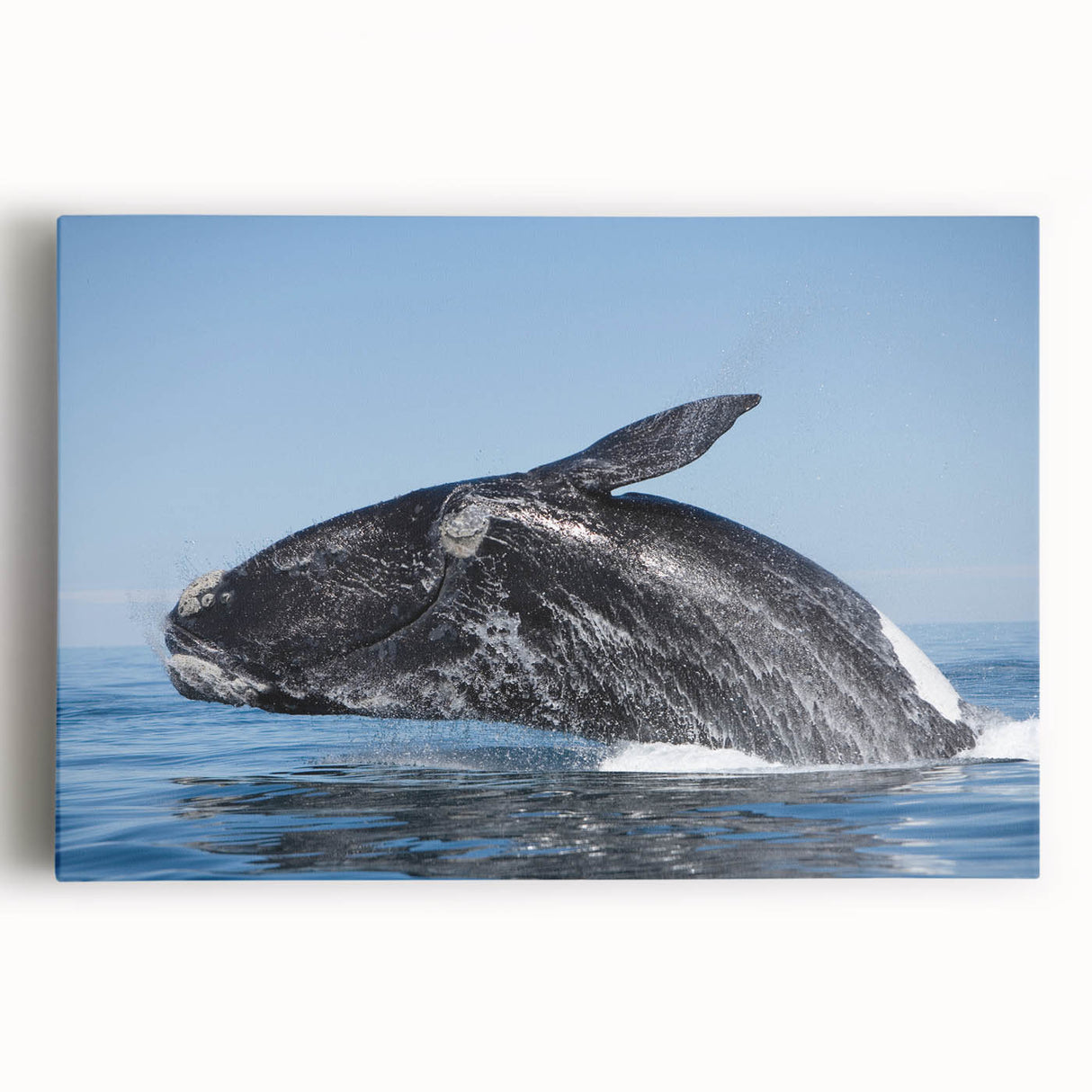 Black and white stretched canvas of an Argentinian landscape, ideal for kitchen wall art.