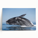 A black and white stretched canvas print of a scenic Argentinian landscape, ideal for kitchen wall art or bedroom decor.