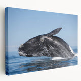 Side view of a stretched canvas featuring a scenic Argentinian landscape in earthy green and brown tones.