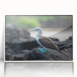 Art deco poster of Galapagos scenery in muted earth tones on white framed acrylic, suitable for modern nursery wall art.