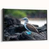 Black and white vintage poster art of Galapagos landscape on framed canvas, ideal for bedroom decor.