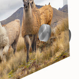 Large abstract wall art depicting an Ecuadorian landscape in mid-century modernist style on acrylic glass.