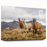 Large abstract wall art of South American scenery, in muted earth tones on acrylic glass.