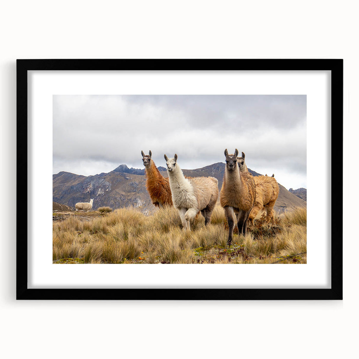 Extra large abstract art print of a vibrant, colorful South American landscape on textured canvas, framed in black.