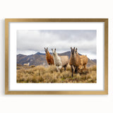 Extra large abstract art print depicting a textured scenery of Ecuador in muted earth tones, framed in gold.