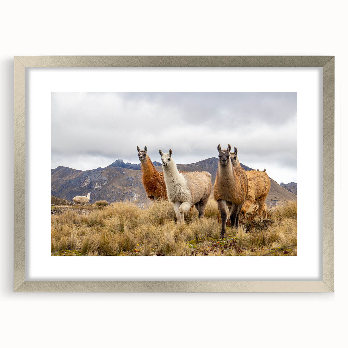 Textured abstract art print of a South American landscape in muted earth tones on a framed silver mat, ideal for bedroom art.