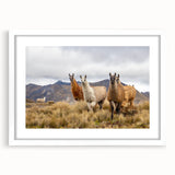 Abstract art print depicting a vibrant, colorful Ecuadorian landscape on a framed white mat, ideal for dining room decor.