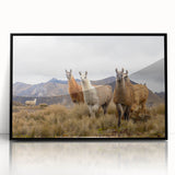 Large abstract wall art depicting a stylized South American landscape in muted earth tones, framed in black acrylic.