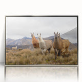 Mid-century modernist art depicting the Ecuadorian landscape in muted earth tones on a silver-framed acrylic print.