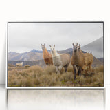 Art deco poster featuring a serene Ecuadorian landscape in muted greens and blues, acrylic print framed in white.