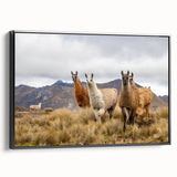 Black and white framed canvas depicting a vintage-style Ecuadorian landscape, ideal for bedroom wall art.