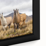 Extra large framed canvas featuring textured, colorful art of an Ecuadorian landscape, ideal for living room decor.