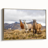 Framed canvas wall art of a vintage-style Ecuador landscape in muted gold and black tones, ideal for bedroom decor.