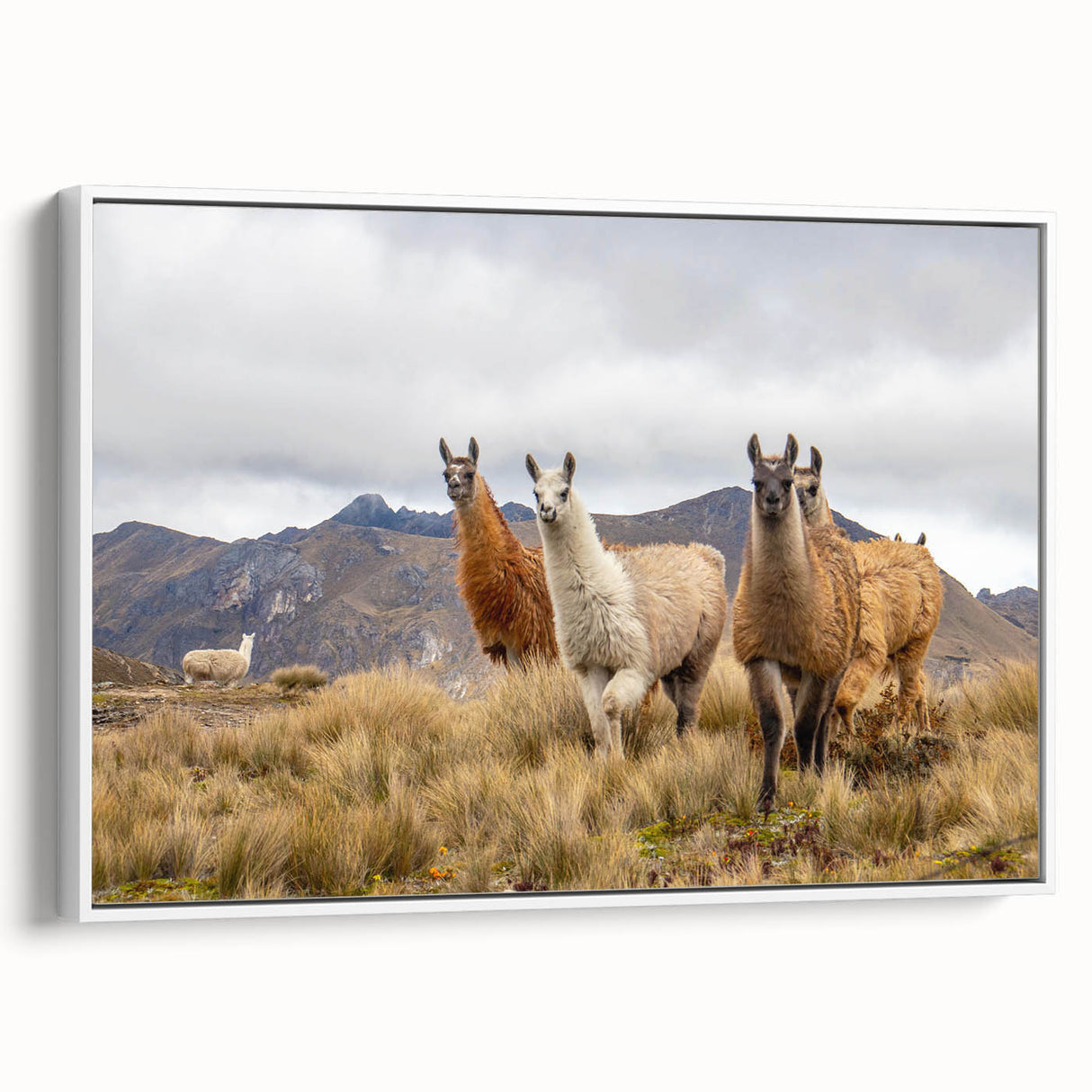 Vintage poster art of Ecuador scenery in vibrant colors on extra large framed canvas, suitable for living room decor.