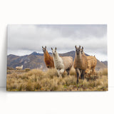 Black and white photograph of Ecuadorian landscape on large stretched canvas, ideal for kitchen wall art or bedroom ambiance.