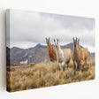 Large canvas print of an Ecuadorian landscape, featuring lush greenery and mountains, ideal for kitchen wall art.
