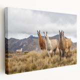 Large canvas print of an Ecuadorian landscape, featuring lush greenery and mountains, ideal for kitchen wall art.