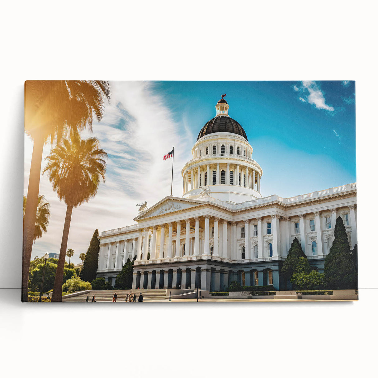 Black and white stretched canvas of Sacramento scenery, ideal for kitchen wall art or bedroom ambiance.
