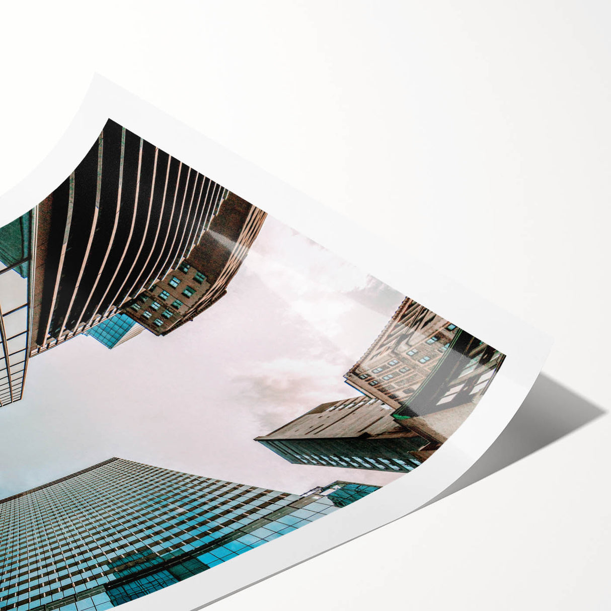 Extra large wall art featuring line art flowers over a San Francisco backdrop on a rolled print.