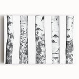 Black and white photograph of Aspen trees on stretched canvas, ideal for kitchen wall art.