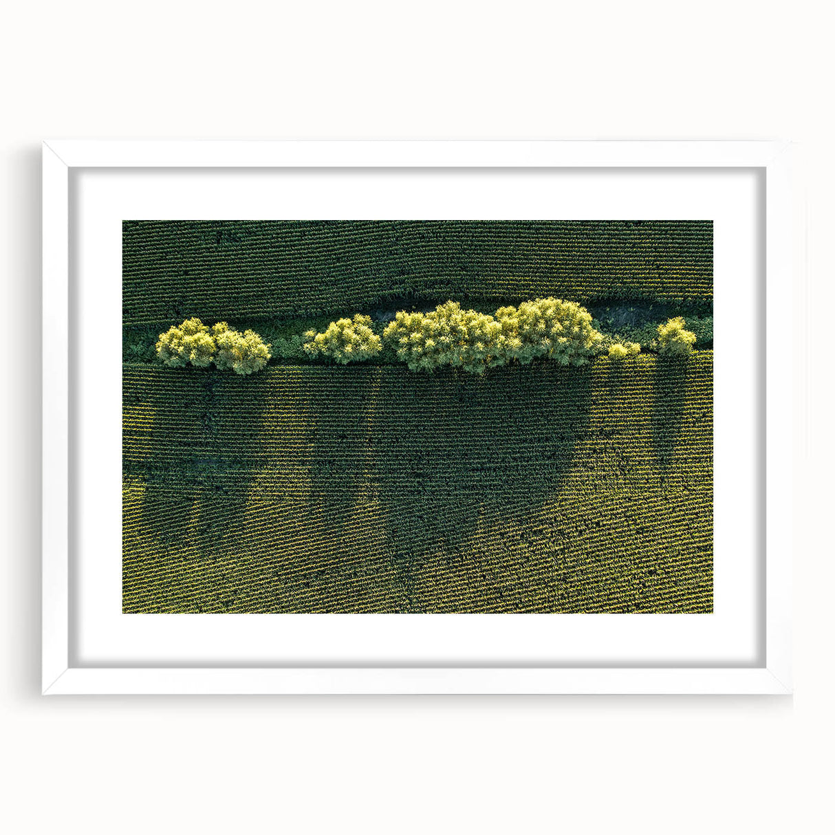 Abstract art print of Iowa scenery in muted earth tones on a white-framed canvas, suitable for dining room decor.